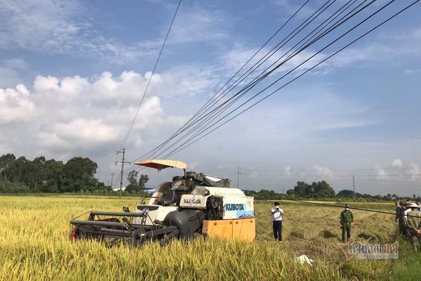 Hai nông dân bị điện giật chết ngoài ruộng